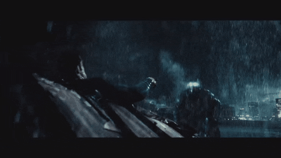 bvs